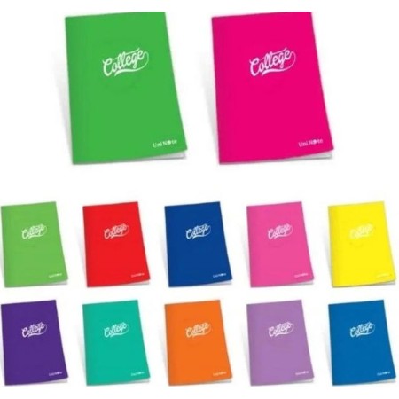 Çınar College Plastik Kapak A5 60Yp Kareli Defter