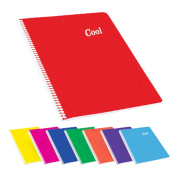 Keskin Color Plastik Kapak Spiralli Cool Defter A4 96 YP Kareli
