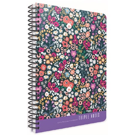 Gıpta Trıple Notes Spiralli Sert Kapak Defter 17x24 80 YP 