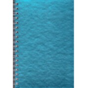 Koza Modelist Defter 17x24 Sert Kapak Metalik Çizgili