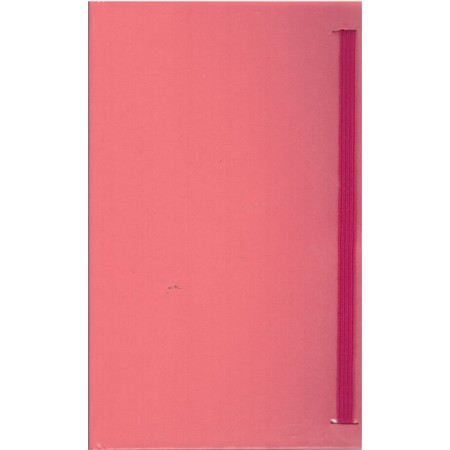 Lastikli Modelist Defter Çizgili