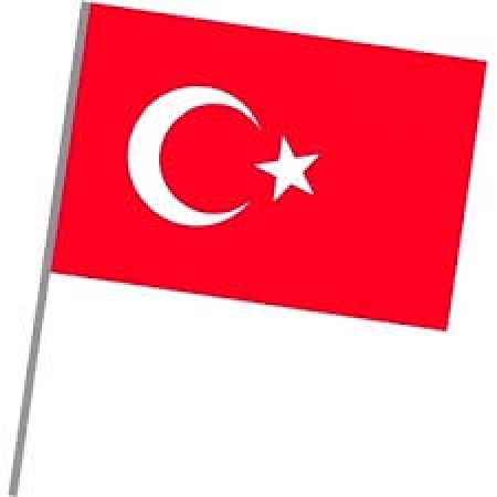 Bez Çıtalı Bayrak 30x45