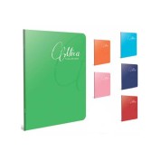 Gıpta Defter (Dikişli ) Mica Plastik Kapak Çizgili 100 YP A5 2934