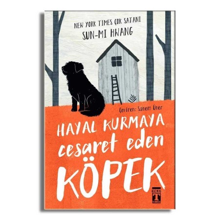 Timaş Hayal Kurmaya Cesaret Eden Köpek Sun-mi Hwang