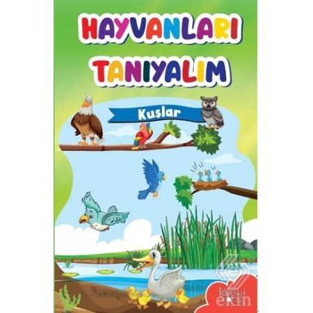 Hayvanları Tanıyalım Kuşlar