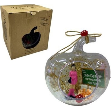 Öğretmenler Günü 848 Elma Mini Teraryum