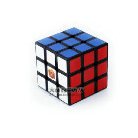 Erl Zeka Küpü 3x3x3 Fastest Gan