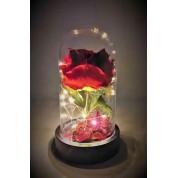 Teranyum 10x18 Fanus mix Solmayan Sonsuzluk Gülü