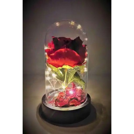 Teranyum 10x18 Fanus mix Solmayan Sonsuzluk Gülü