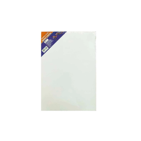 Bafix Çerçeveli Tuval 25x35