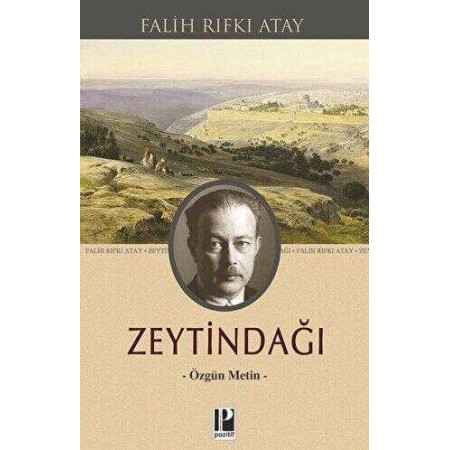 Pozitif Yayınları Zeytindağı Falih Rıfkı Atay